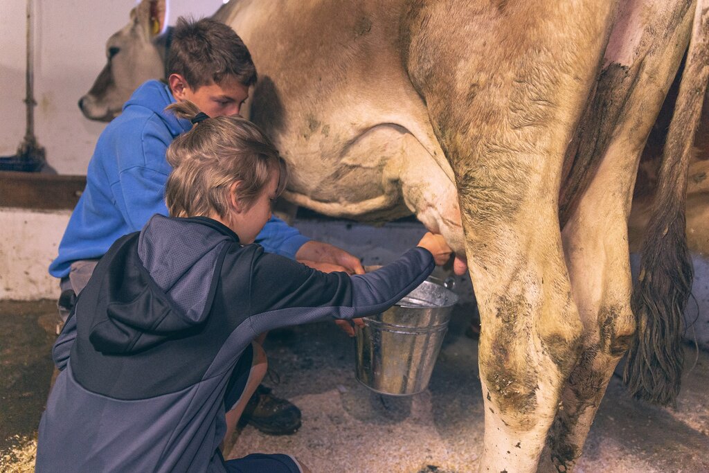 Malga Jumela Mungitura alla Malga Jumela al Buffaure