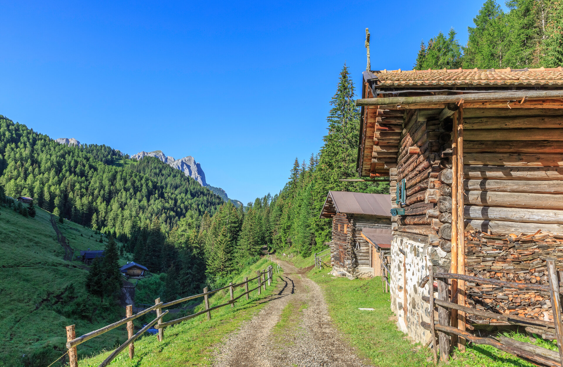 Mungitura alla Malga Jumela al Buffaure | © Patricia Ramirez - Archivio Immagini ApT Val di Fassa Malga Jumela | © Patricia Ramirez - Archivio Immagini ApT Val di Fassa