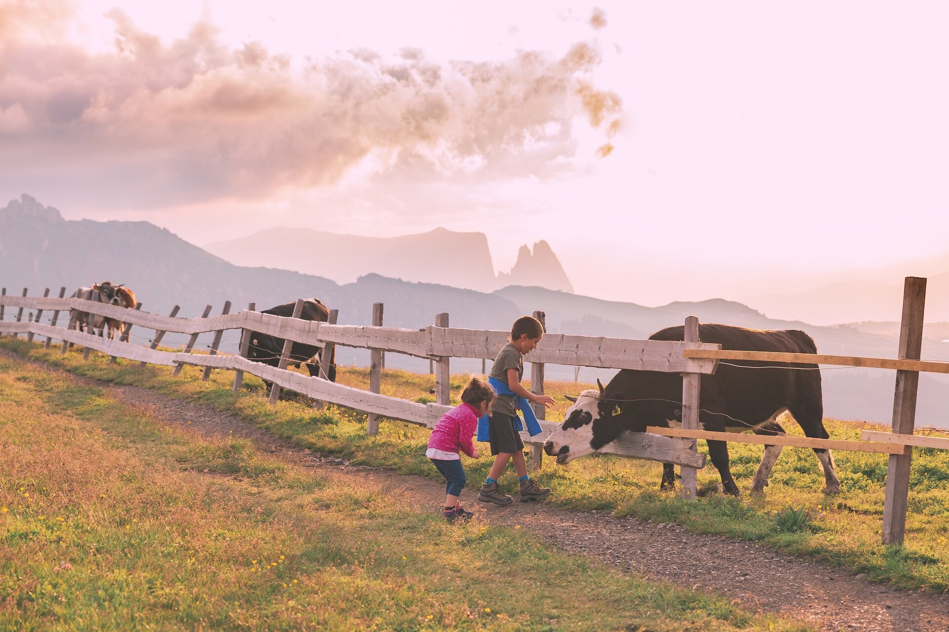 Bambini che osservano le mucche al pascolo al Sassopiatto in Val di Fassa | © Patricia Ramirez - Archivio Immagini ApT Val di Fassa