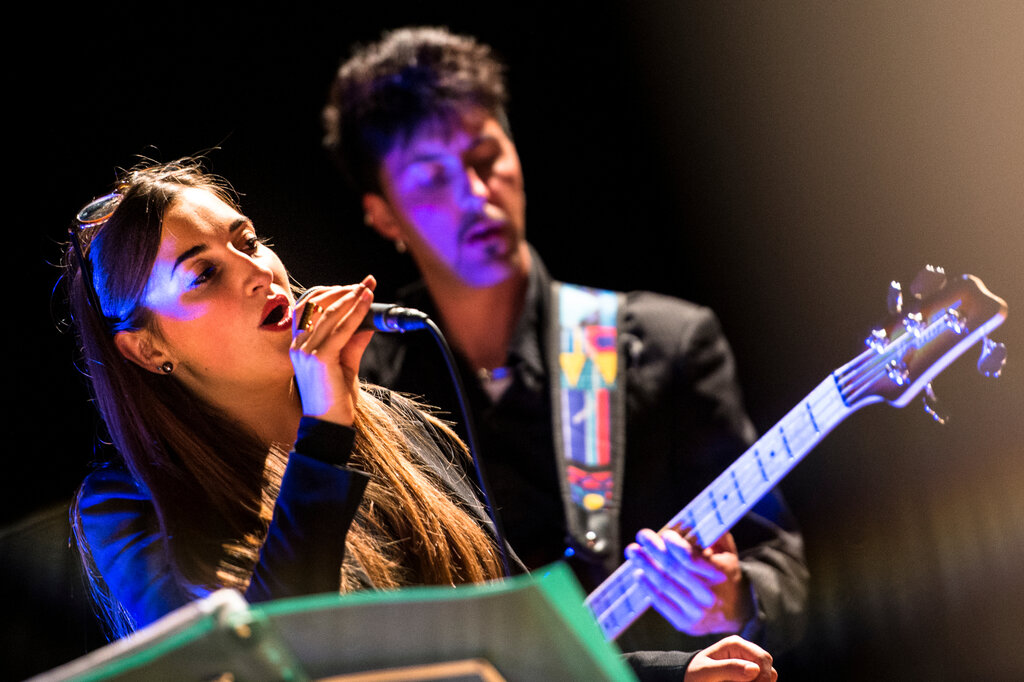 Musica live Cantante e chitarrista in concerto live