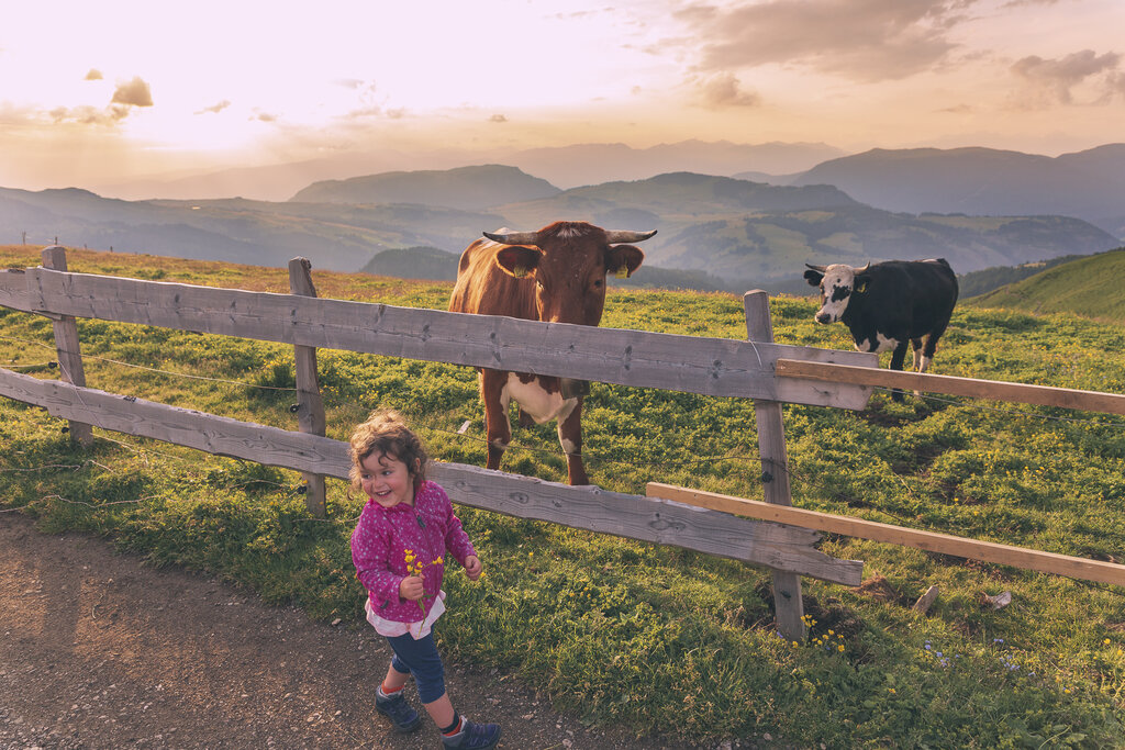 Family Friendly Bambina che sorride di fronte a delle mucche in Val di Fassa