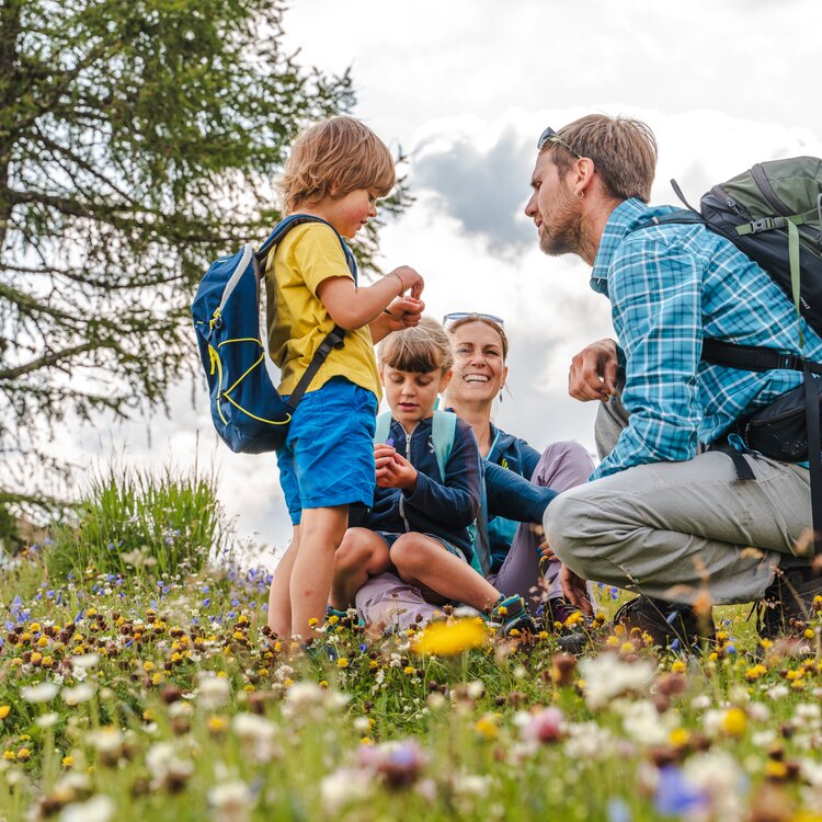 Famiglia all'Alpe Lusia | © Patricia Ramirez - Archivio Immagini ApT Val di Fassa Famiglia gioca felice in un prato fiorito in Val di Fassa | © Patricia Ramirez - Archivio Immagini ApT Val di Fassa