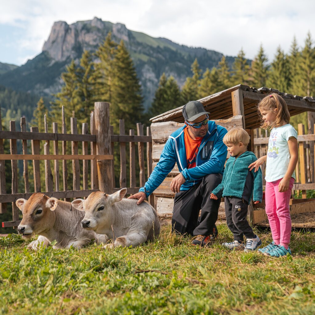 Was Man Als Familie Unternehmen Kann Was Man Als Familie Unternehmen Kann