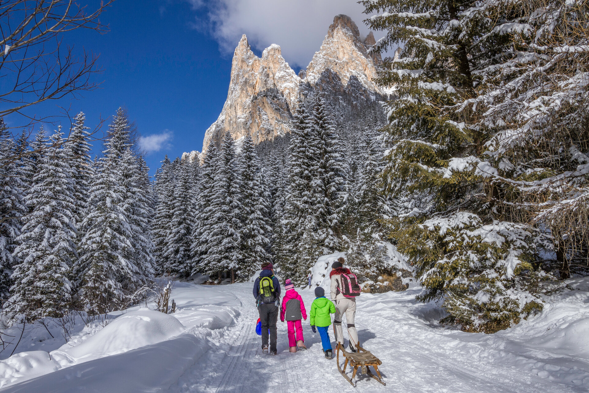 Slittino | © Patricia Ramirez  - Archivio Immagini ApT Val di Fassa Slittino in Val di Fassa | © Patricia Ramirez  - Archivio Immagini ApT Val di Fassa