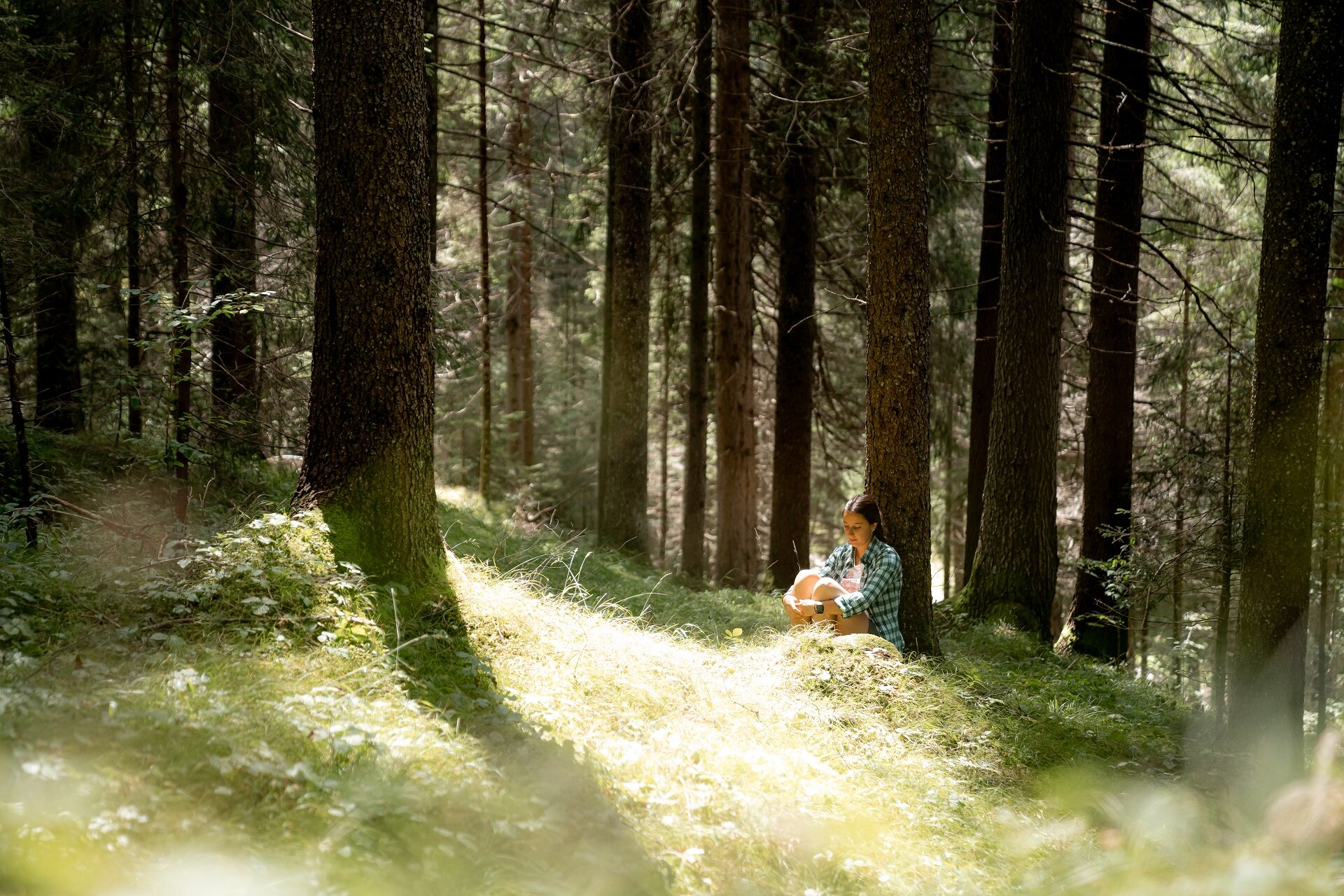 Forest bathing nei boschi della Val di Fassa | © Mattia Rizzi  - Archivio Immagini ApT Val di Fassa