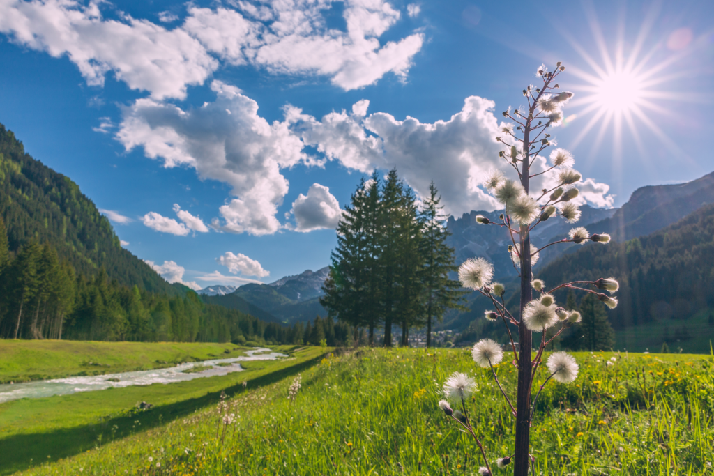 ApTValdiFassa 038 PATRICIA RAMIREZ 929 ApTValdiFassa 038 PATRICIA RAMIREZ 929