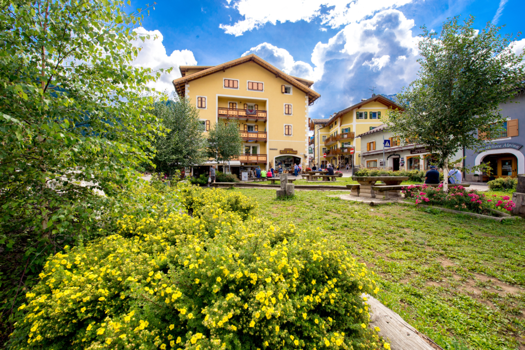 ApTValdiFassa 36 MATTIA RIZZI 1192 ApTValdiFassa 36 MATTIA RIZZI 1192