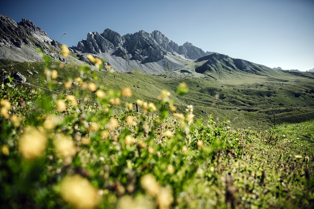 ApTValdiFassa 028 FEDERICO MODICA 2308