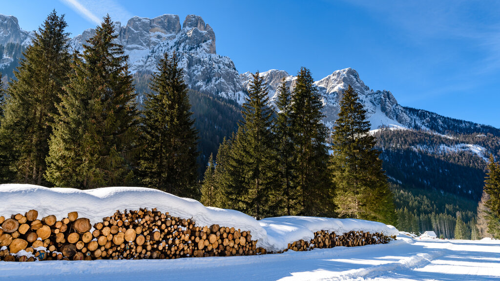 AdobeStock 431205230 AdobeStock 431205230