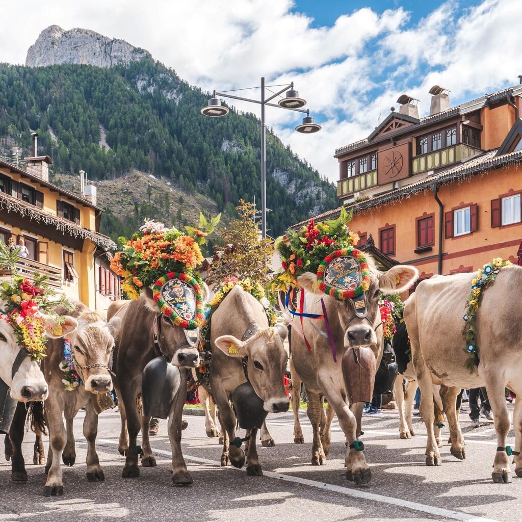 Festival del Puzzone di Moena_13 Festival del Puzzone di Moena_13