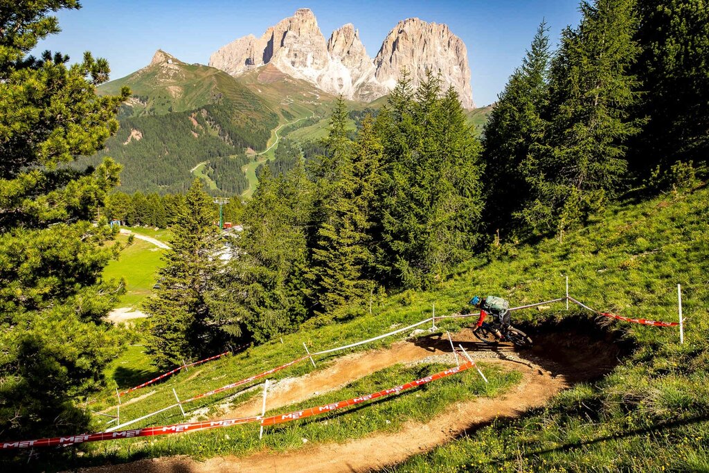 Img 66461557  Img 66461557