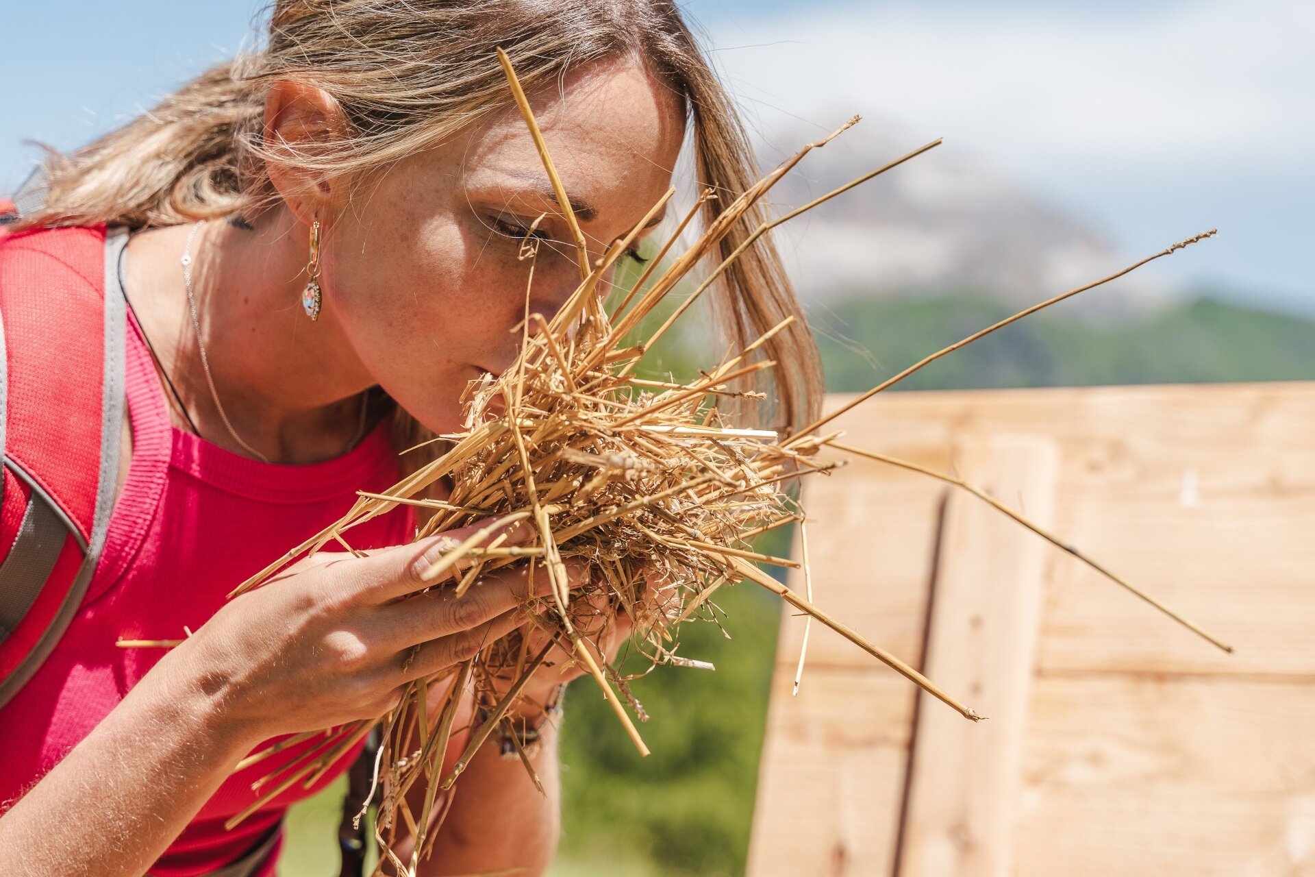 Img 97833549  Img 97833549