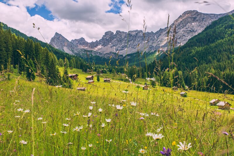 Stage 4 Dolomiti Trek King Short Experience   Between Pastures And Huts Of Val San Nicolò Stage 4 Dolomiti Trek King Short Experience   Between Pastures And Huts Of Val San Nicolò