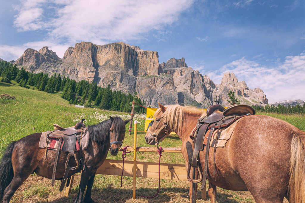 Content Dam Org 3 Images Full Rights Outdoor Equitazione   Maneggi Archivio Apt Val Di Fassa Pramirez Equitazione Maneggi Cavalli Content Dam Org 3 Images Full Rights Outdoor Equitazione   Maneggi Archivio Apt Val Di Fassa Pramirez Equitazione Maneggi Cavalli