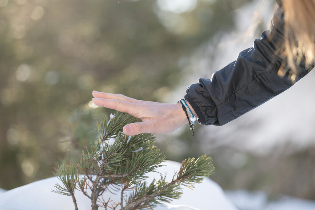 Content Dam Org 3 Images Full Rights Servizi Altri Servizi Katiuscia Rasom Archivio Katiuscia Rasom Forest Bathing Neve Inverno 114 Content Dam Org 3 Images Full Rights Servizi Altri Servizi Katiuscia Rasom Archivio Katiuscia Rasom Forest Bathing Neve Inverno 114