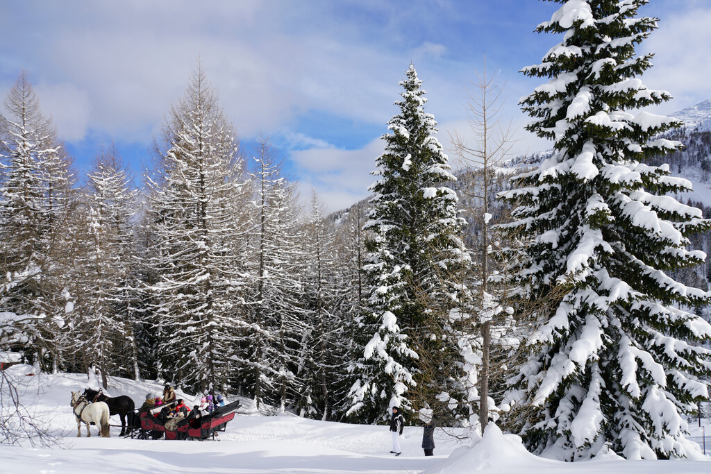 Content Dam Org 3 Images Full Rights Outdoor Defrancesco Michele Gite In Slitta Aptvaldifassa 005 Marisa Montibeller 990 Content Dam Org 3 Images Full Rights Outdoor Defrancesco Michele Gite In Slitta Aptvaldifassa 005 Marisa Montibeller 990