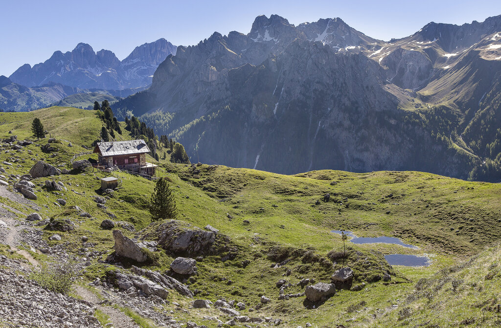 Content Dam Org 0 Images Full Rights Gusto 34338 Content Dam Org 0 Images Full Rights Gusto 34338