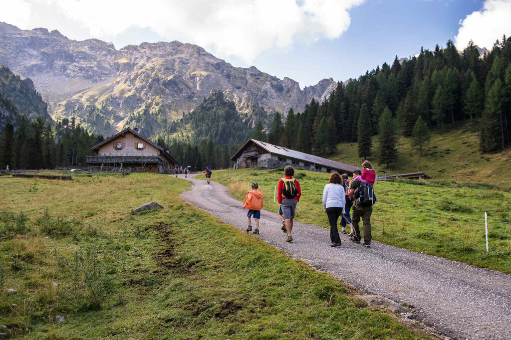 Content Dam Org 3 Images Full Rights Natura Val Monzoni Archivio Apt Val Di Fassa Acosta Val Monzoni Estate Content Dam Org 3 Images Full Rights Natura Val Monzoni Archivio Apt Val Di Fassa Acosta Val Monzoni Estate