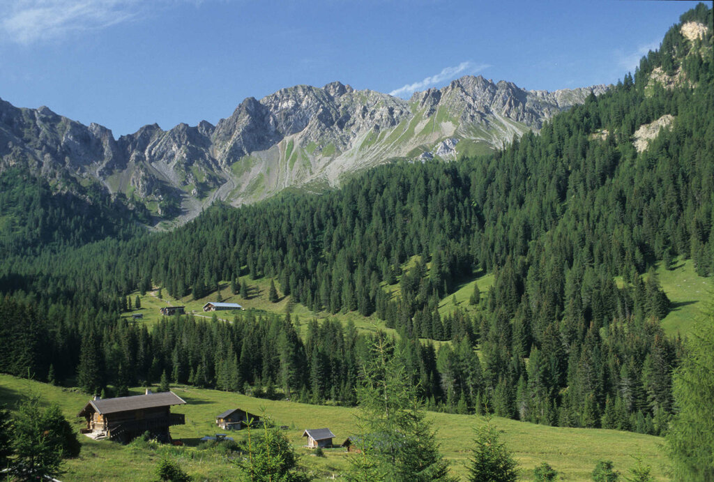 Content Dam Org 3 Images Full Rights Natura Val Monzoni Archivio Apt Val Di Fassa Gcavulli Val Monzoni Estate Content Dam Org 3 Images Full Rights Natura Val Monzoni Archivio Apt Val Di Fassa Gcavulli Val Monzoni Estate