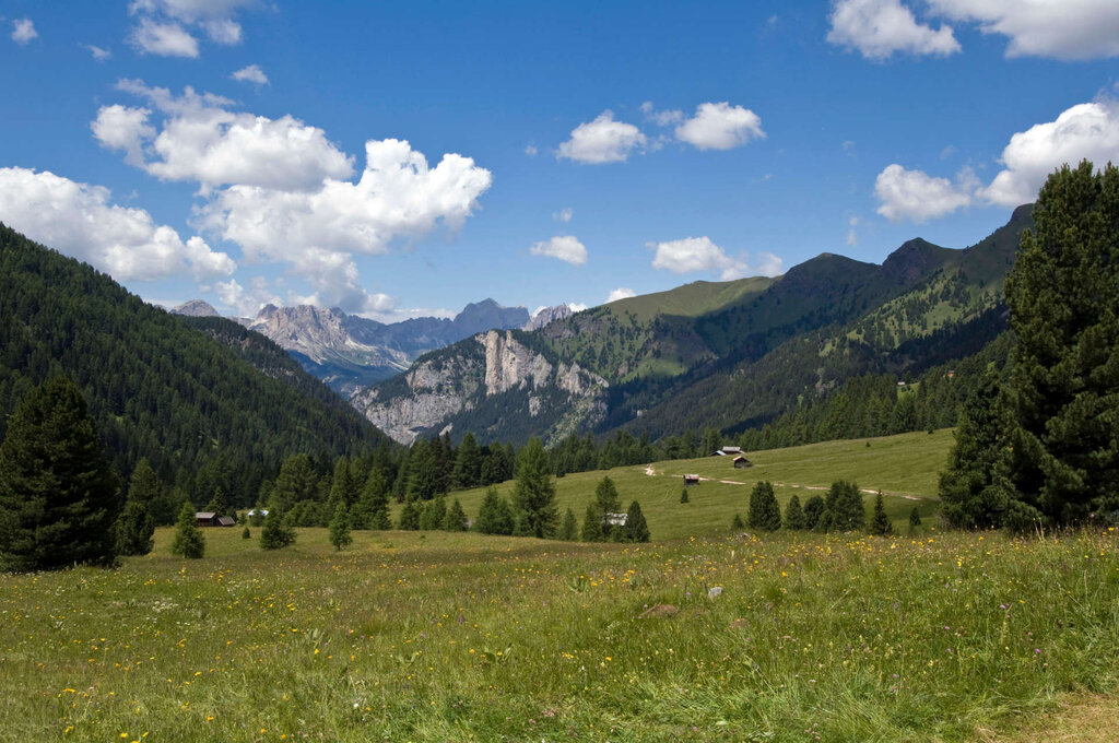 Content Dam Org 3 Images Full Rights Natura Val San Nicolo Archivio Apt Val Di Fassa Cainelli Val San Nicolo Estate 5 Content Dam Org 3 Images Full Rights Natura Val San Nicolo Archivio Apt Val Di Fassa Cainelli Val San Nicolo Estate 5