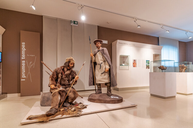 Pigui Experience Pigui Experience