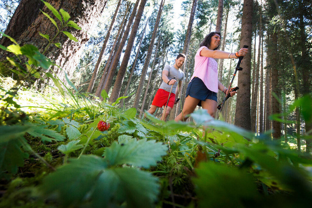 Content Dam Org 3 Images Full Rights Servizi Altri Servizi Sport Check Point Aptvaldifassa 36 Mattia Rizzi 355 Content Dam Org 3 Images Full Rights Servizi Altri Servizi Sport Check Point Aptvaldifassa 36 Mattia Rizzi 355