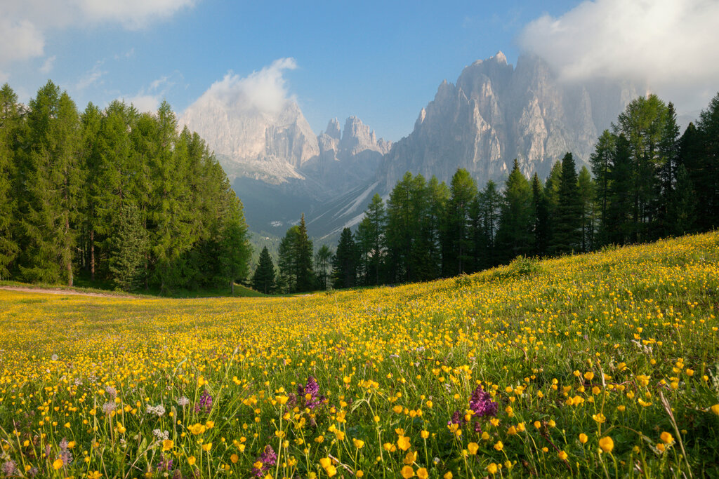 Content Dam Org 3 Images Full Rights Servizi Impianti Di Risalita Ciampedie Catinaccio Apt Val Di Fassa Nangeli Est Content Dam Org 3 Images Full Rights Servizi Impianti Di Risalita Ciampedie Catinaccio Apt Val Di Fassa Nangeli Est