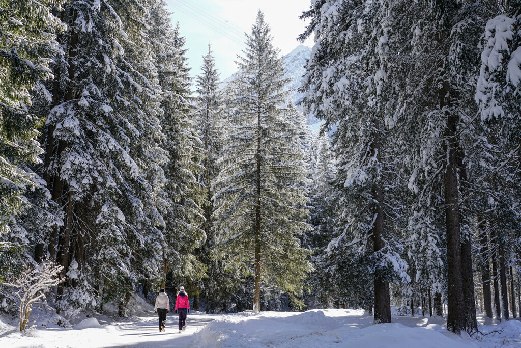 Content Dam Org 3 Images Full Rights Guide Alpine E Accompagnatori Aptvaldifassa 005 Marisa Montibeller 882